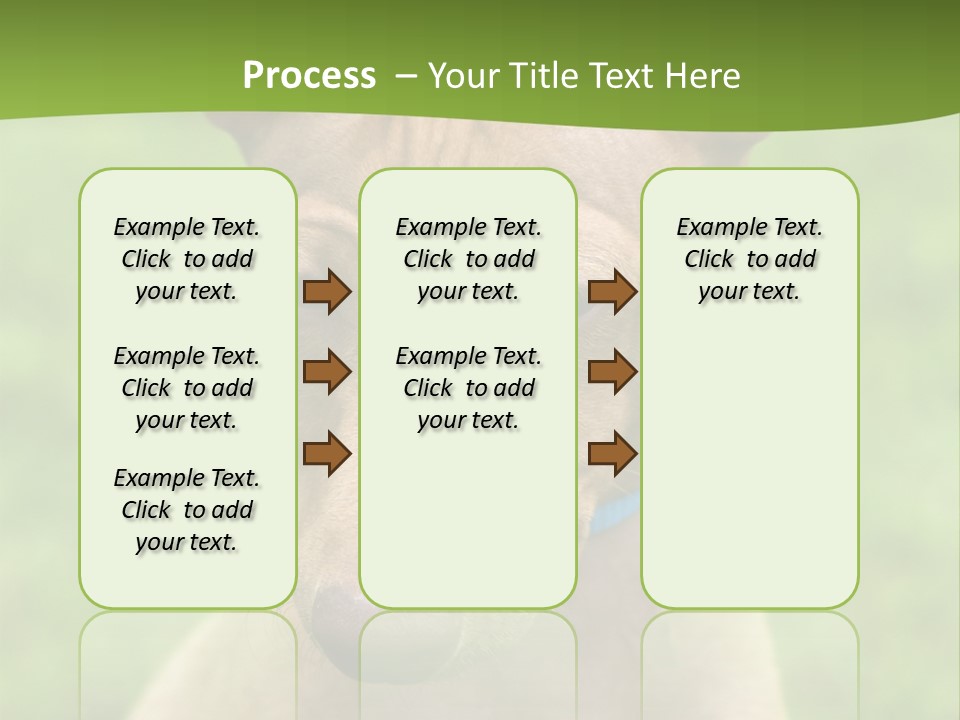 Cirneco Dell'etna, Sicilian Hound Puppy PowerPoint Template
