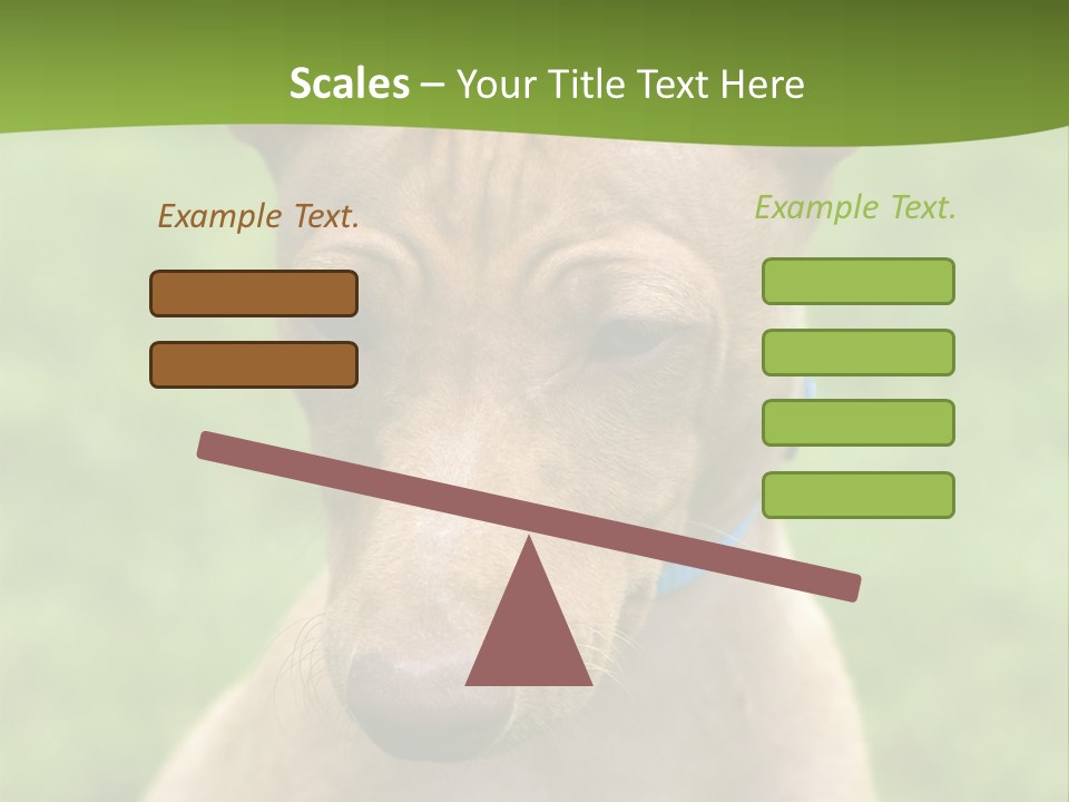 Cirneco Dell'etna, Sicilian Hound Puppy PowerPoint Template