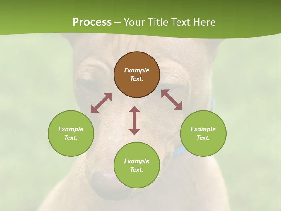 Cirneco Dell'etna, Sicilian Hound Puppy PowerPoint Template