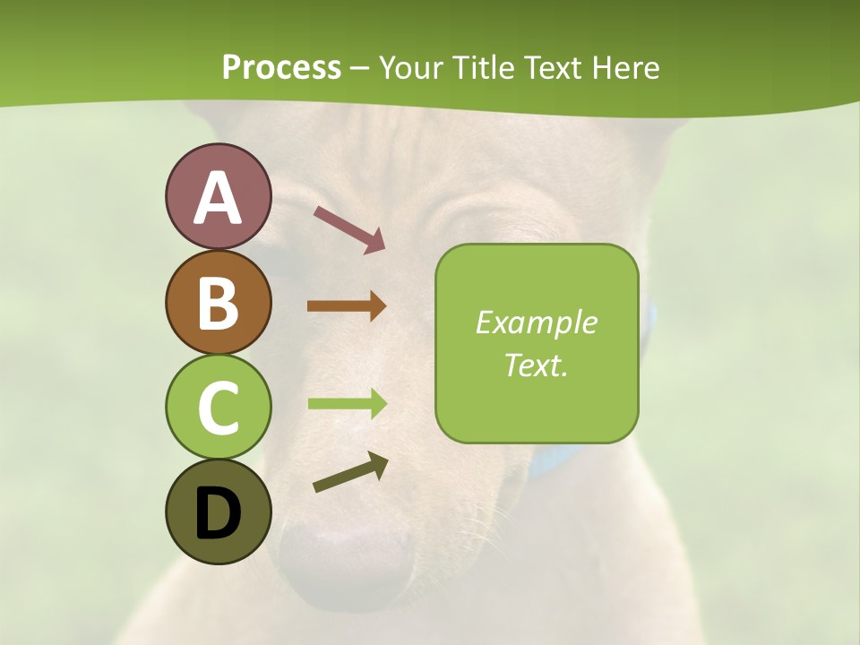 Cirneco Dell'etna, Sicilian Hound Puppy PowerPoint Template