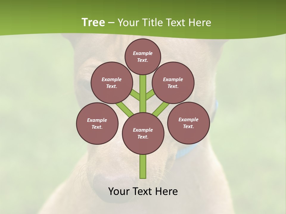 Cirneco Dell'etna, Sicilian Hound Puppy PowerPoint Template