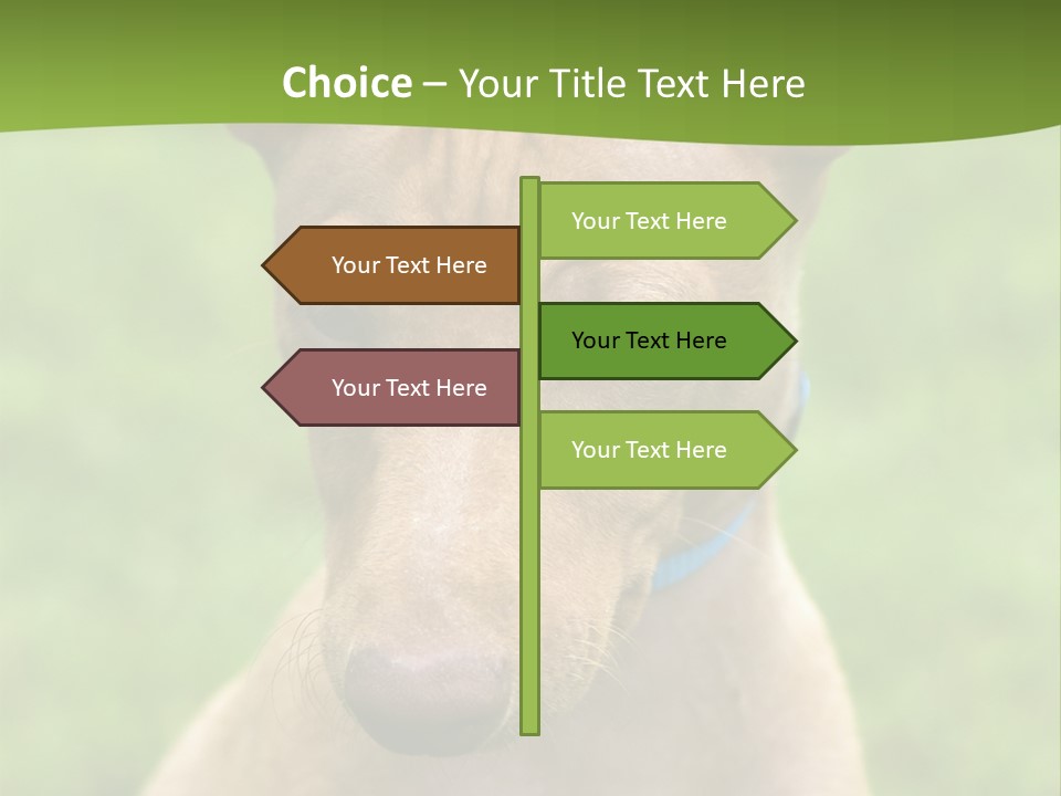 Cirneco Dell'etna, Sicilian Hound Puppy PowerPoint Template