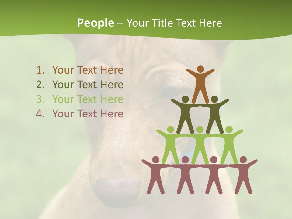 Cirneco Dell'etna, Sicilian Hound Puppy PowerPoint Template