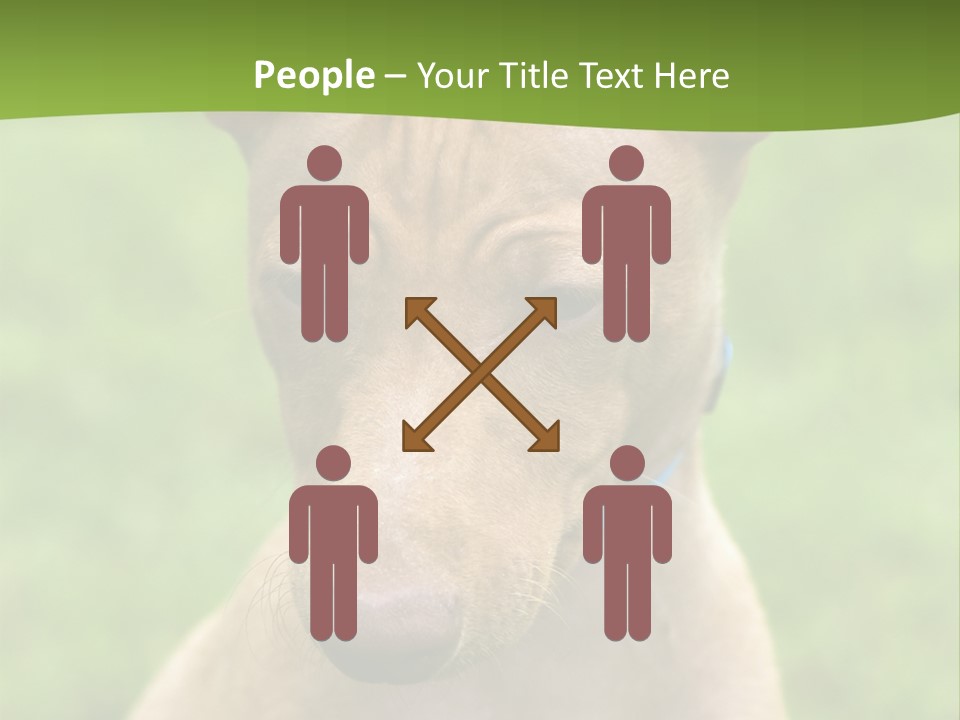 Cirneco Dell'etna, Sicilian Hound Puppy PowerPoint Template