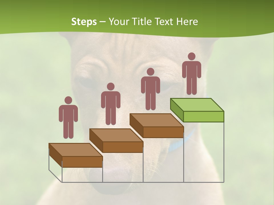 Cirneco Dell'etna, Sicilian Hound Puppy PowerPoint Template