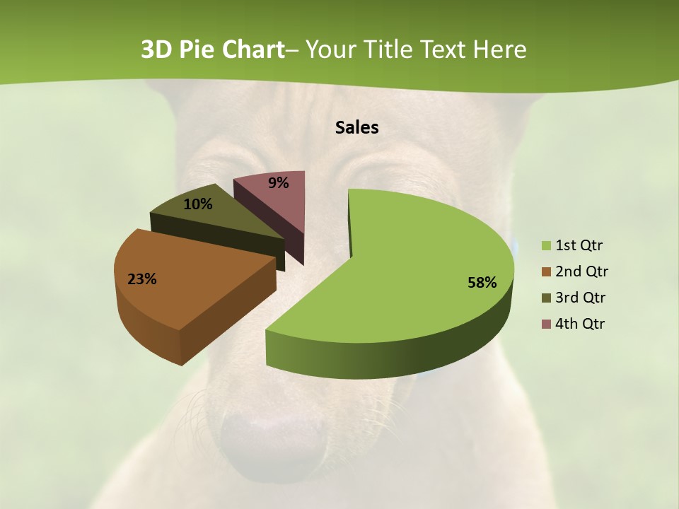 Cirneco Dell'etna, Sicilian Hound Puppy PowerPoint Template