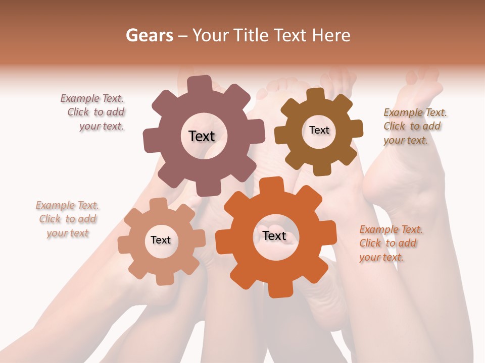 Beautiful Graceful Female Feet, Isolated On A White Background, Please See Some Of My Other Parts Of A Body Images PowerPoint Template