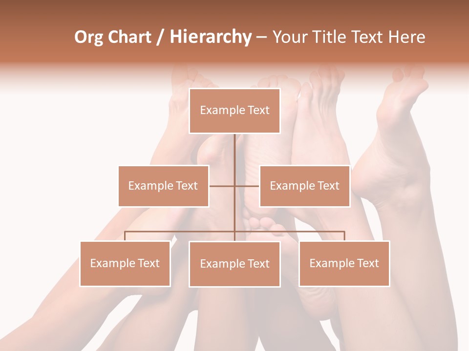 Beautiful Graceful Female Feet, Isolated On A White Background, Please See Some Of My Other Parts Of A Body Images PowerPoint Template