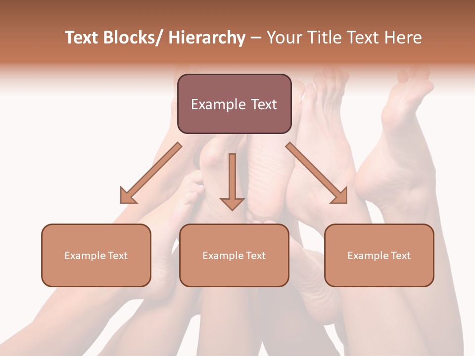 Beautiful Graceful Female Feet, Isolated On A White Background, Please See Some Of My Other Parts Of A Body Images PowerPoint Template