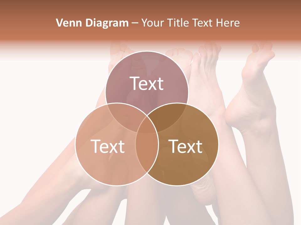 Beautiful Graceful Female Feet, Isolated On A White Background, Please See Some Of My Other Parts Of A Body Images PowerPoint Template