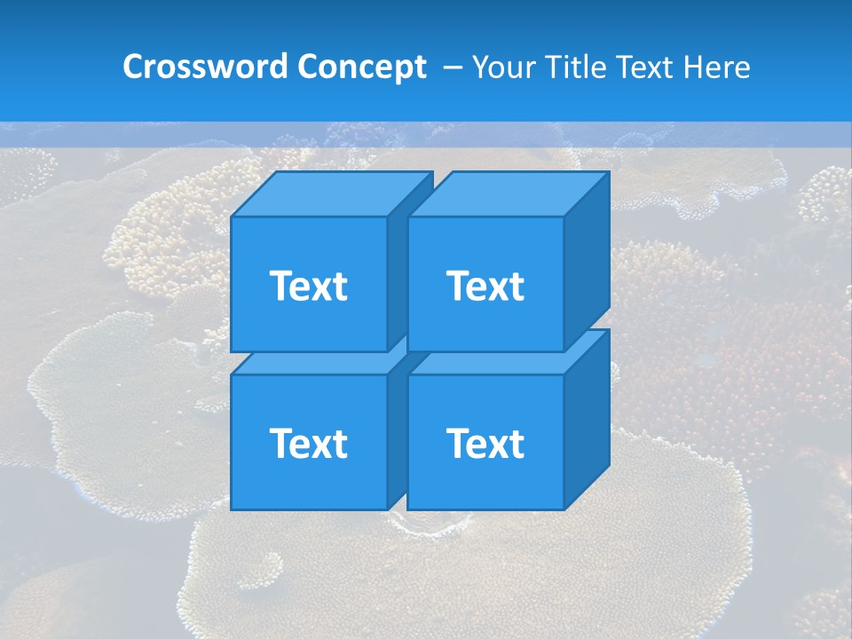A Group Of Corals On A Reef Powerpoint Presentation PowerPoint Template