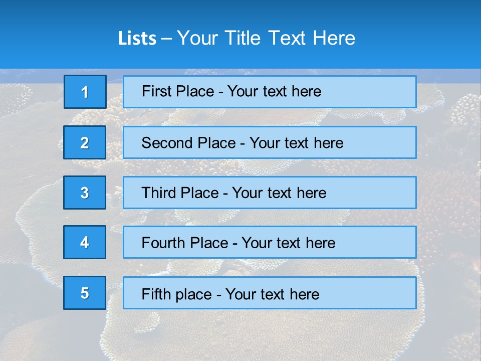 A Group Of Corals On A Reef Powerpoint Presentation PowerPoint Template