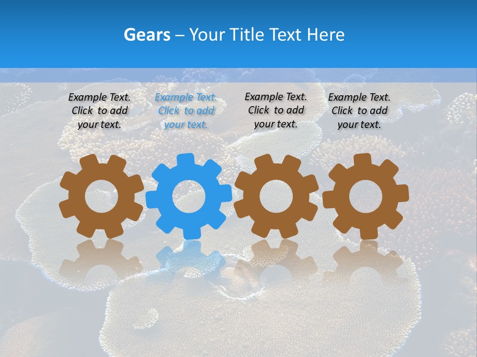 A Group Of Corals On A Reef Powerpoint Presentation PowerPoint Template