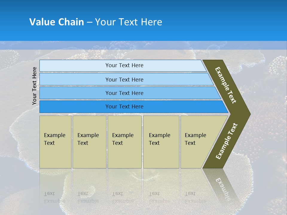 A Group Of Corals On A Reef Powerpoint Presentation PowerPoint Template