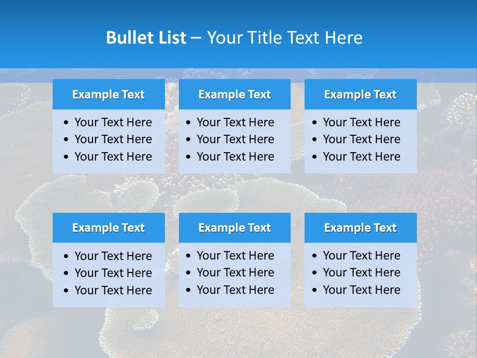 A Group Of Corals On A Reef Powerpoint Presentation PowerPoint Template