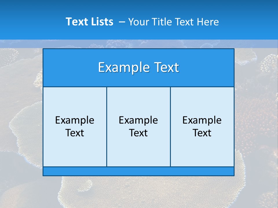 A Group Of Corals On A Reef Powerpoint Presentation PowerPoint Template