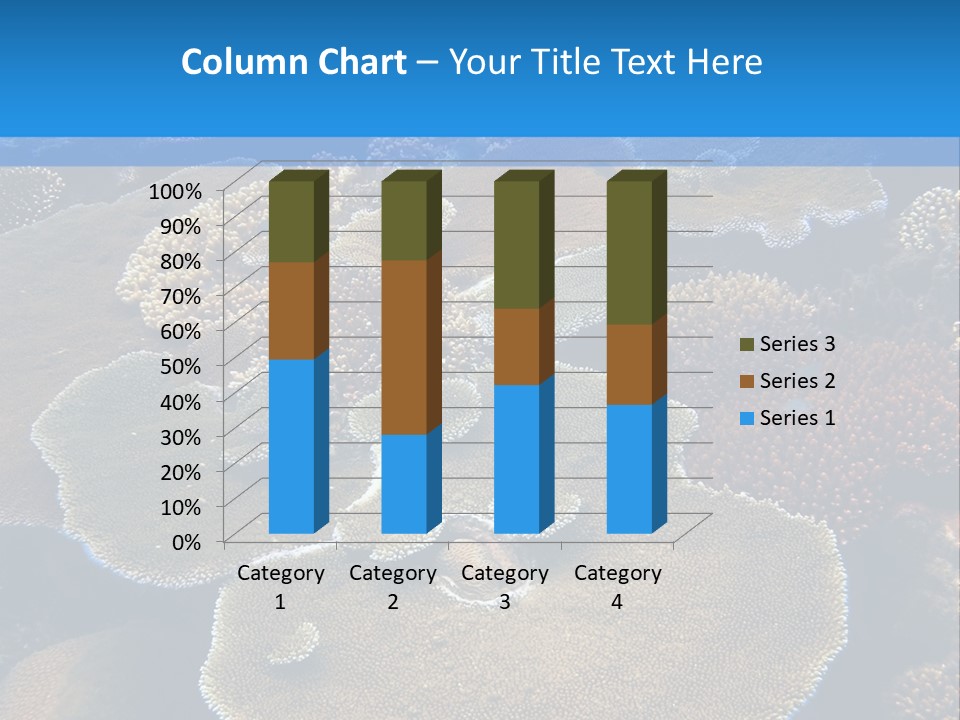 A Group Of Corals On A Reef Powerpoint Presentation PowerPoint Template