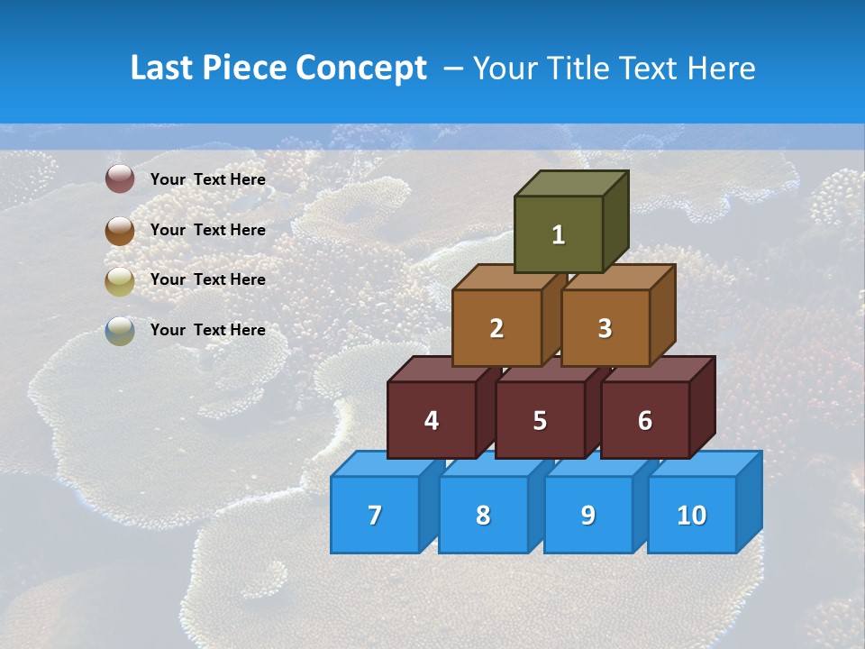 A Group Of Corals On A Reef Powerpoint Presentation PowerPoint Template