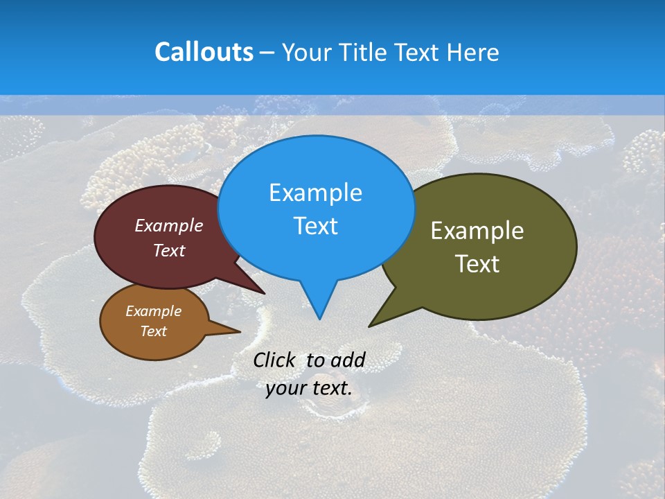 A Group Of Corals On A Reef Powerpoint Presentation PowerPoint Template