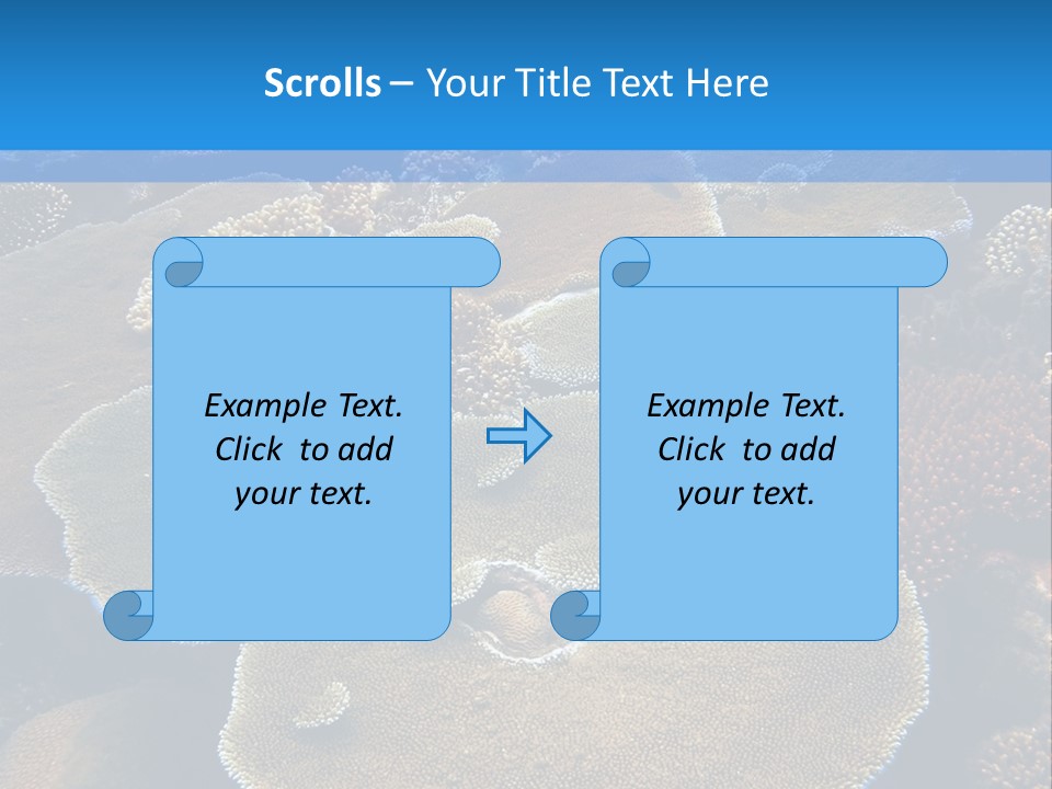 A Group Of Corals On A Reef Powerpoint Presentation PowerPoint Template