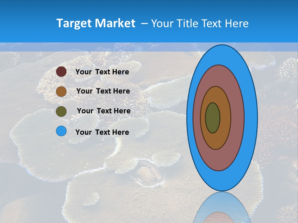 A Group Of Corals On A Reef Powerpoint Presentation PowerPoint Template