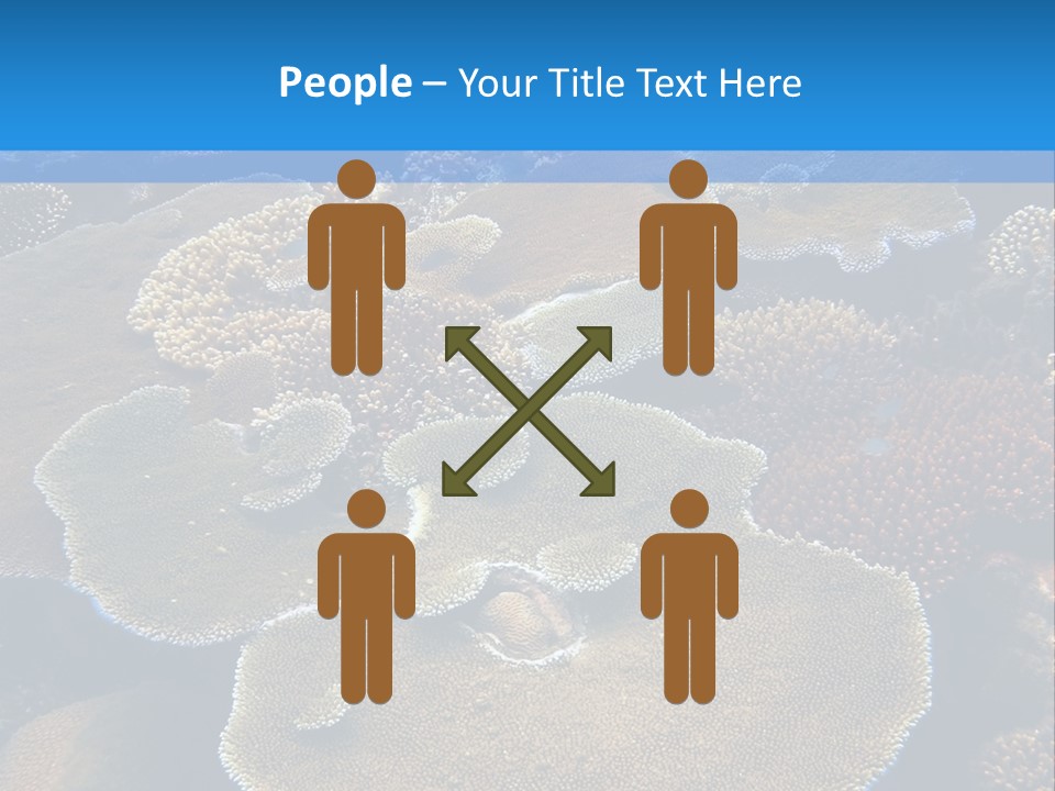 A Group Of Corals On A Reef Powerpoint Presentation PowerPoint Template