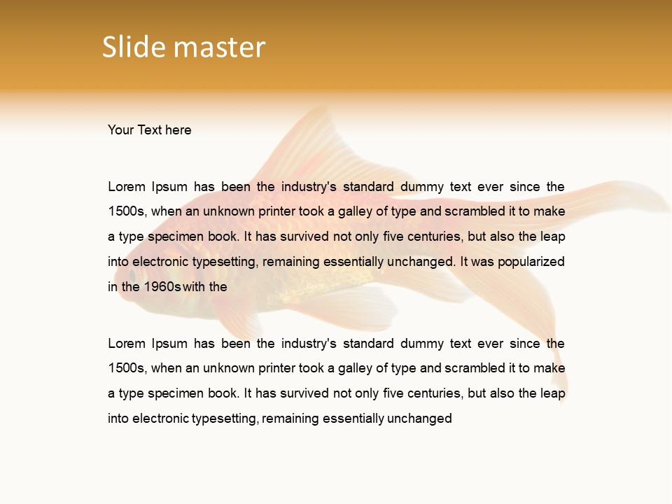 Gold Fish Swimming Isolated On A White Background PowerPoint Template