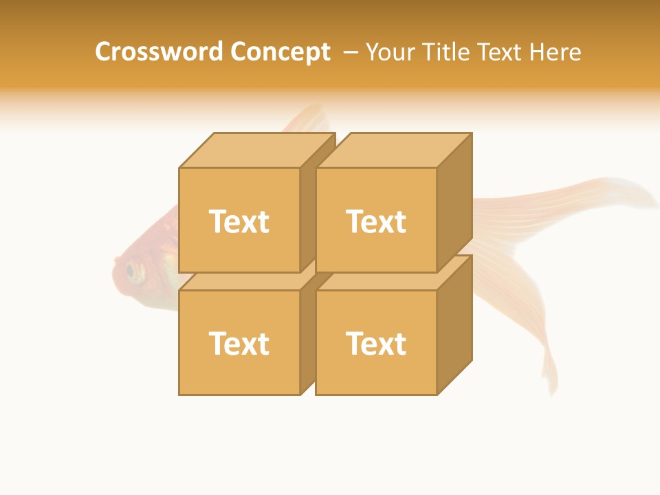 Gold Fish Swimming Isolated On A White Background PowerPoint Template