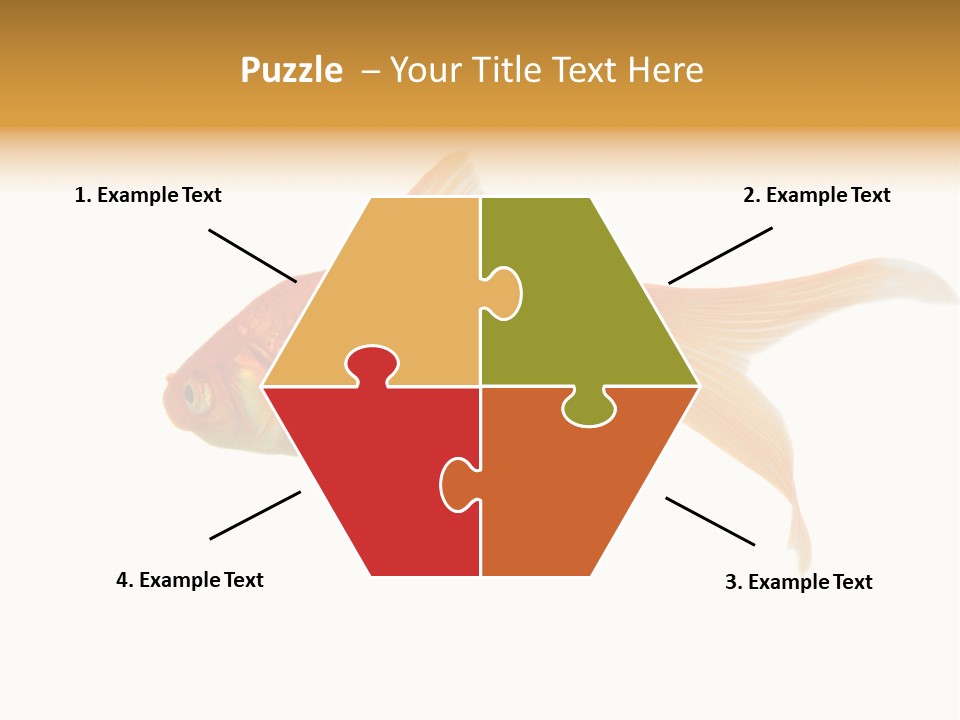 Gold Fish Swimming Isolated On A White Background PowerPoint Template