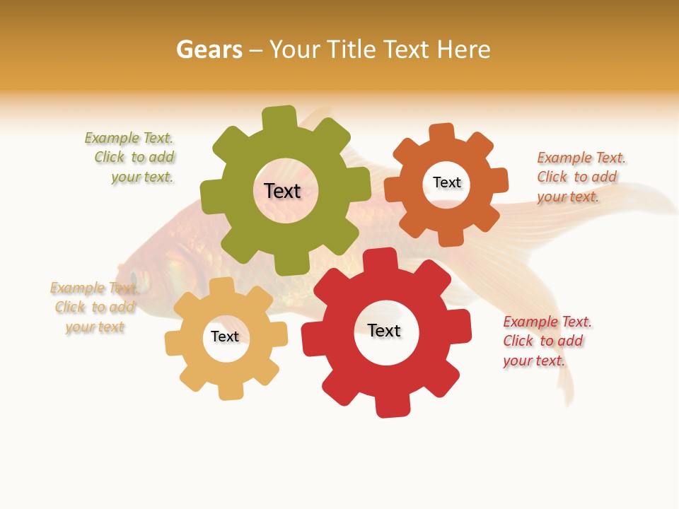 Gold Fish Swimming Isolated On A White Background PowerPoint Template