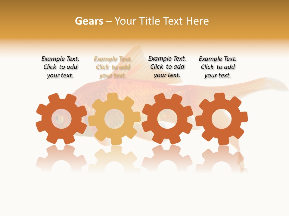 Gold Fish Swimming Isolated On A White Background PowerPoint Template