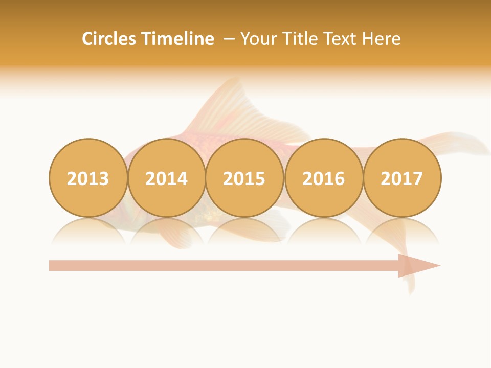 Gold Fish Swimming Isolated On A White Background PowerPoint Template