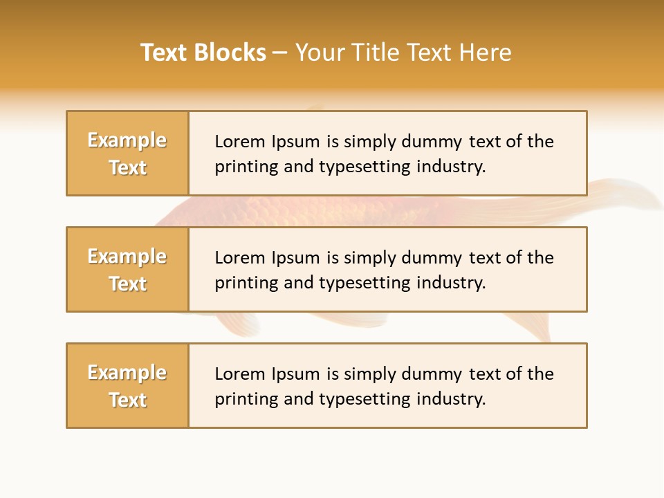 Gold Fish Swimming Isolated On A White Background PowerPoint Template