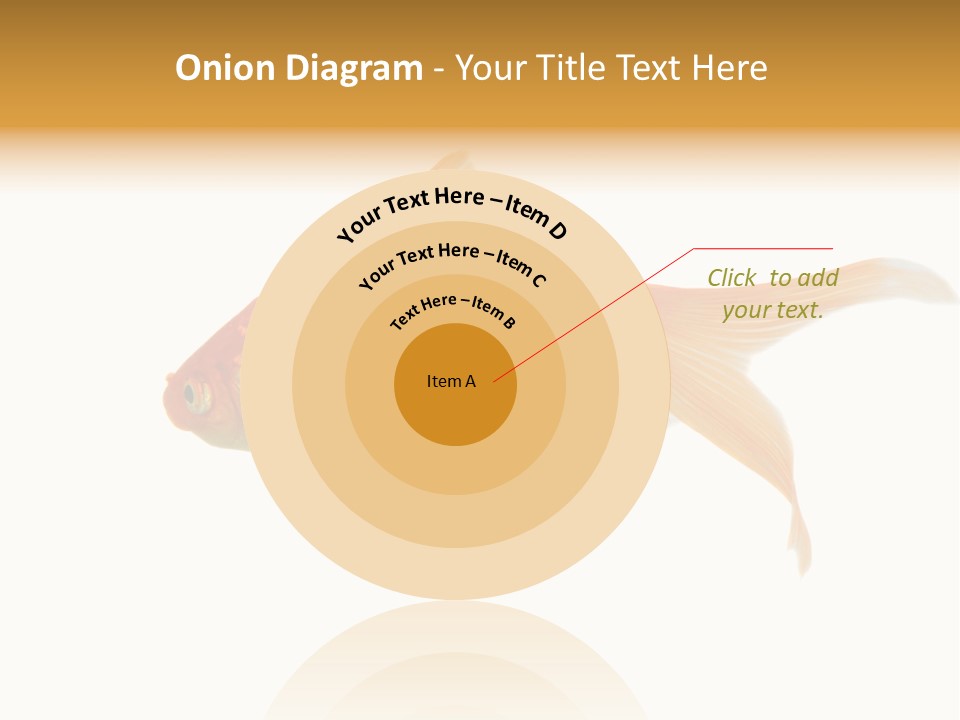 Gold Fish Swimming Isolated On A White Background PowerPoint Template