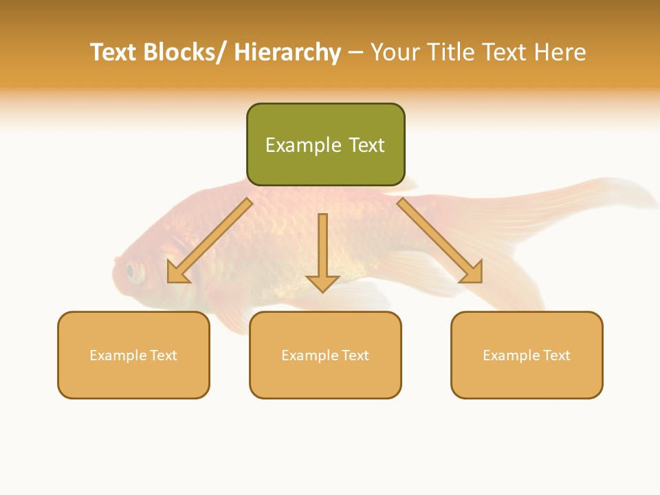 Gold Fish Swimming Isolated On A White Background PowerPoint Template