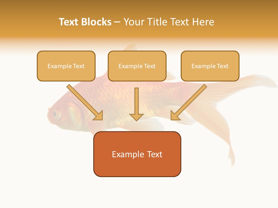 Gold Fish Swimming Isolated On A White Background PowerPoint Template