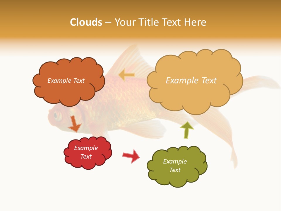 Gold Fish Swimming Isolated On A White Background PowerPoint Template