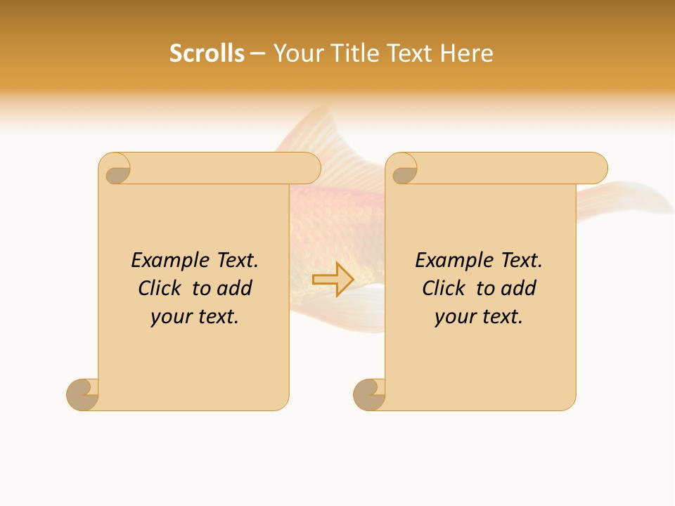 Gold Fish Swimming Isolated On A White Background PowerPoint Template