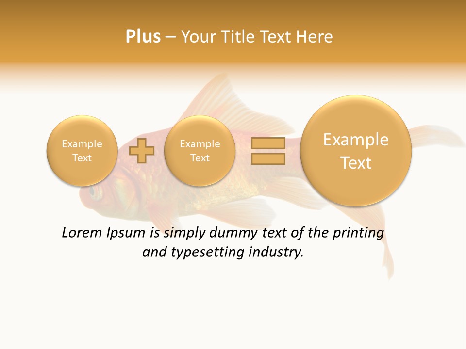 Gold Fish Swimming Isolated On A White Background PowerPoint Template