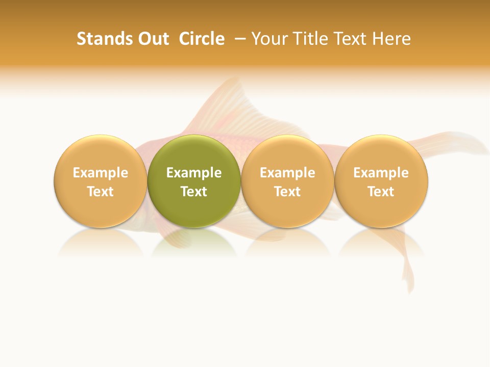 Gold Fish Swimming Isolated On A White Background PowerPoint Template