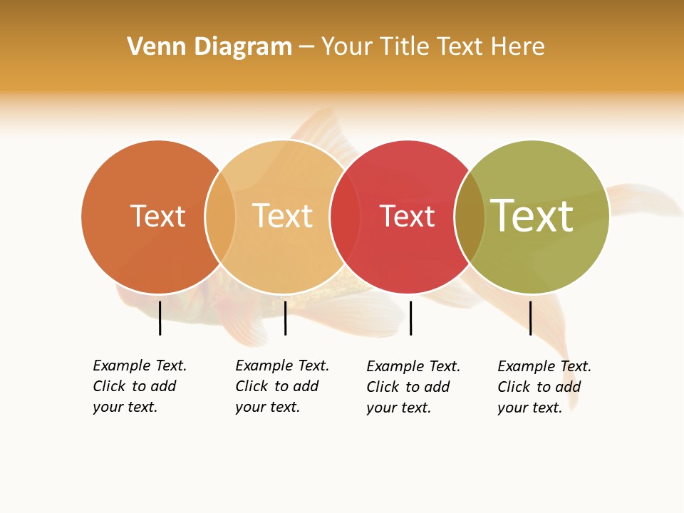 Gold Fish Swimming Isolated On A White Background PowerPoint Template