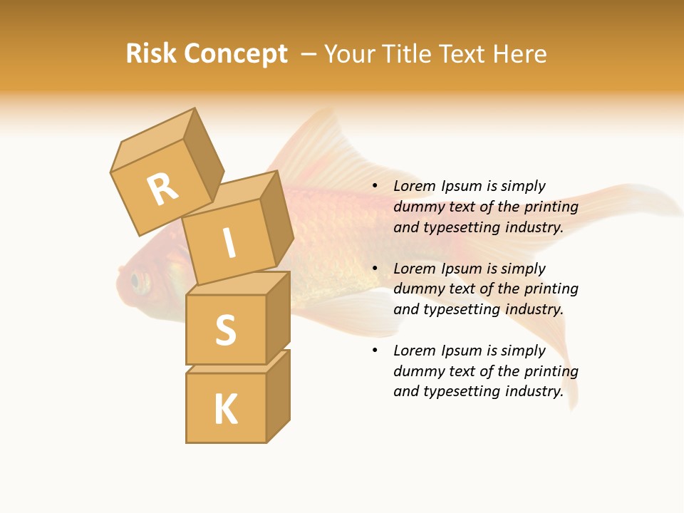 Gold Fish Swimming Isolated On A White Background PowerPoint Template