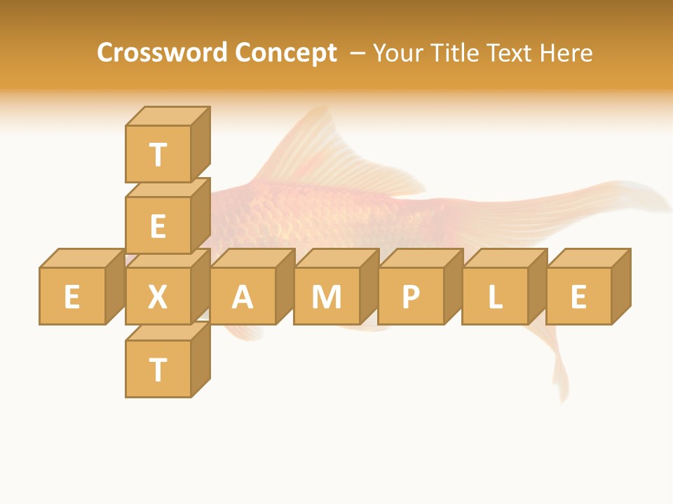 Gold Fish Swimming Isolated On A White Background PowerPoint Template