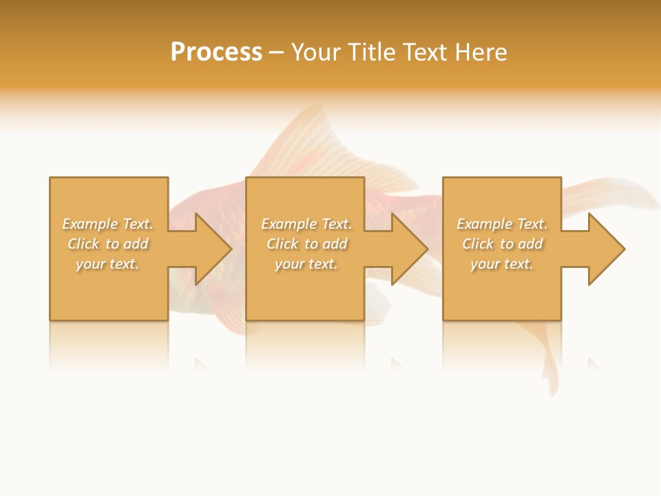Gold Fish Swimming Isolated On A White Background PowerPoint Template