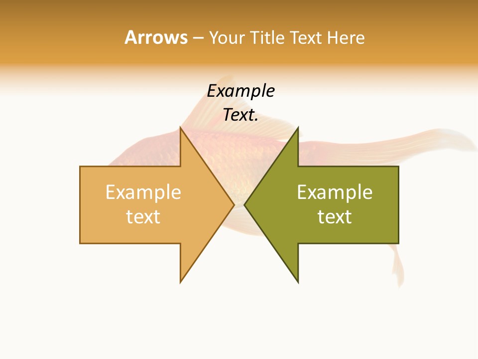 Gold Fish Swimming Isolated On A White Background PowerPoint Template