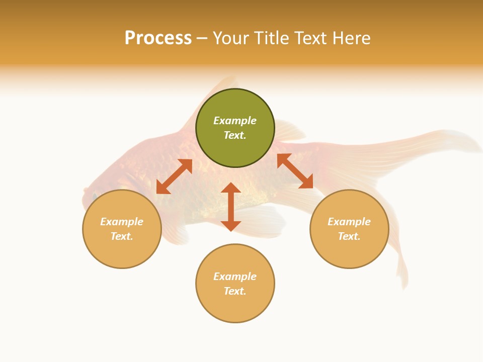 Gold Fish Swimming Isolated On A White Background PowerPoint Template