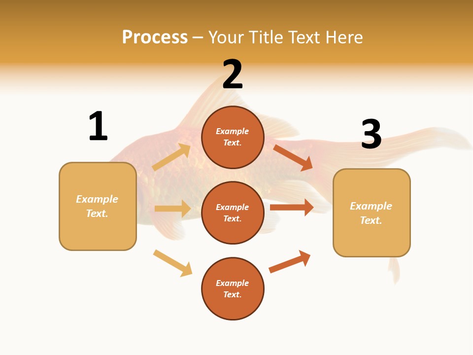 Gold Fish Swimming Isolated On A White Background PowerPoint Template