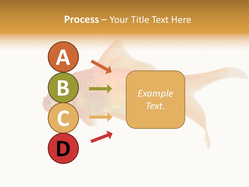 Gold Fish Swimming Isolated On A White Background PowerPoint Template