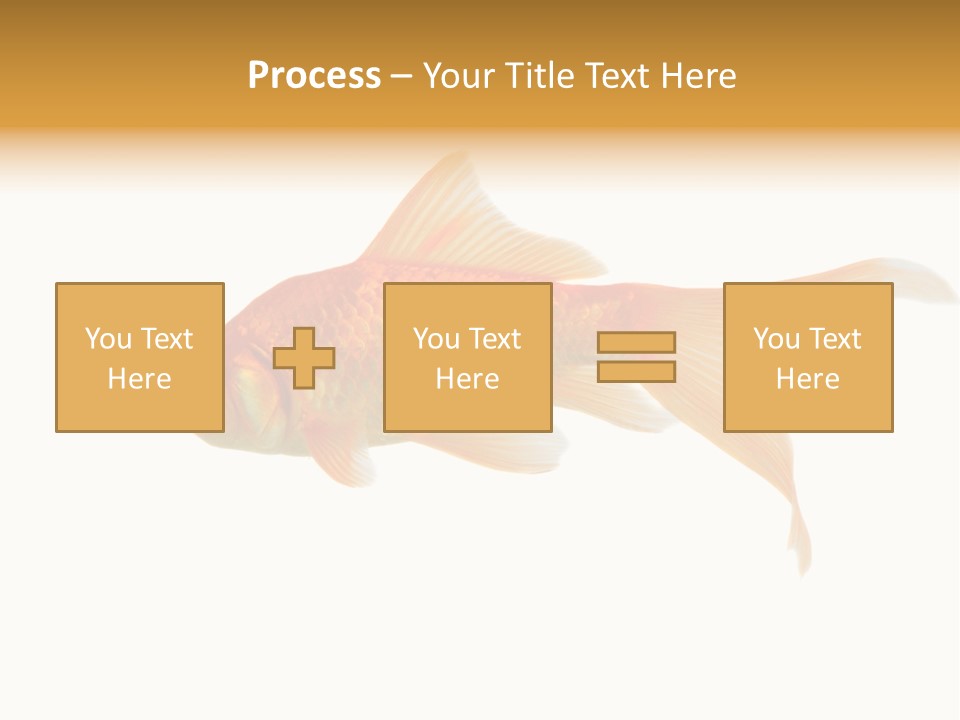 Gold Fish Swimming Isolated On A White Background PowerPoint Template