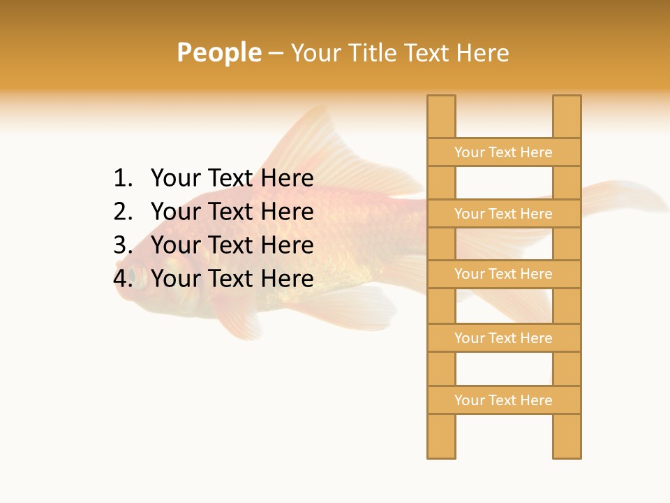 Gold Fish Swimming Isolated On A White Background PowerPoint Template